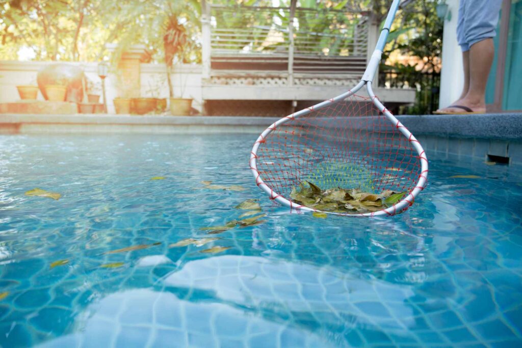 pool skimming during winter sunshine coast